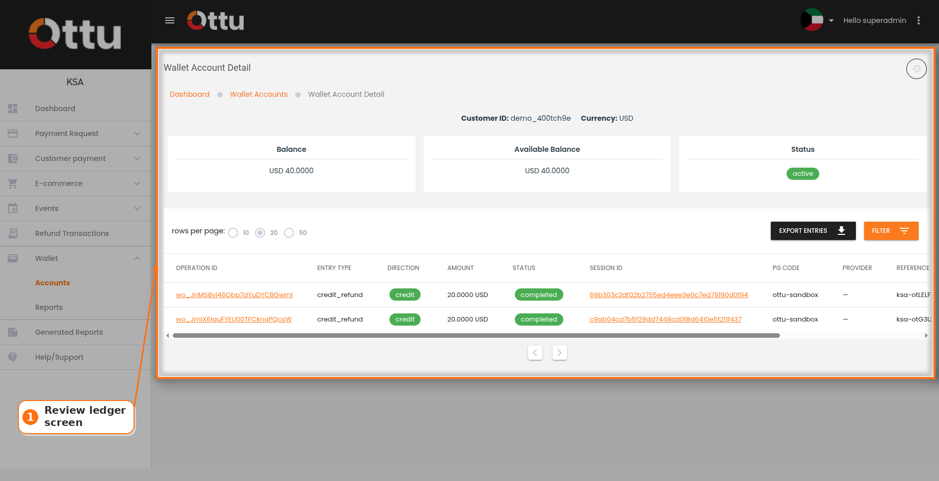 Ledger screen with entry rows visible